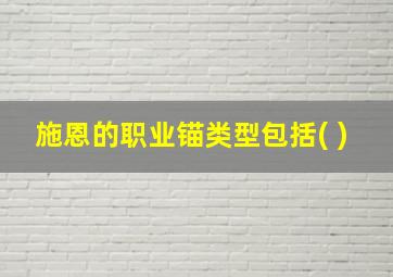 施恩的职业锚类型包括( )